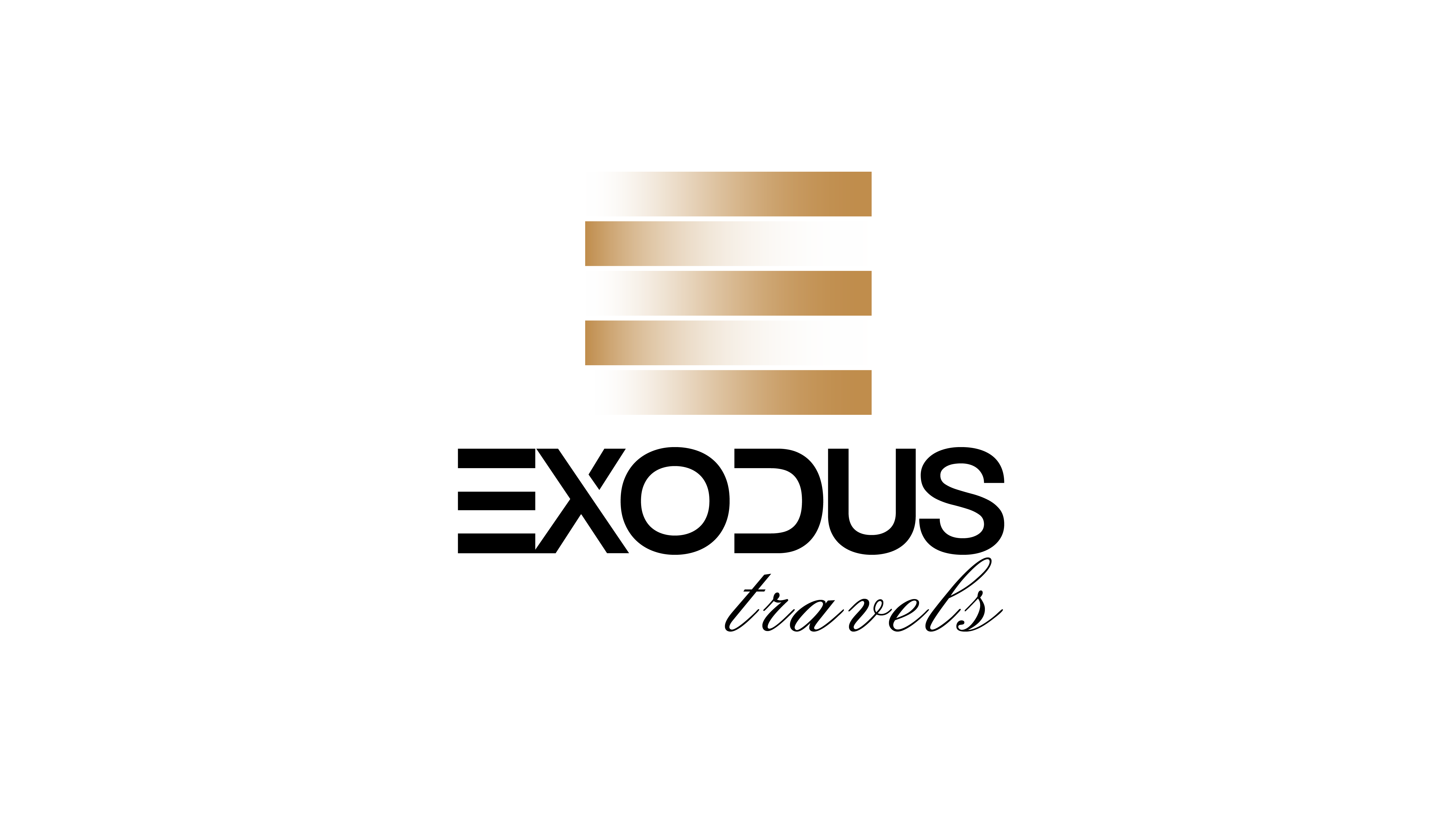 logo dark